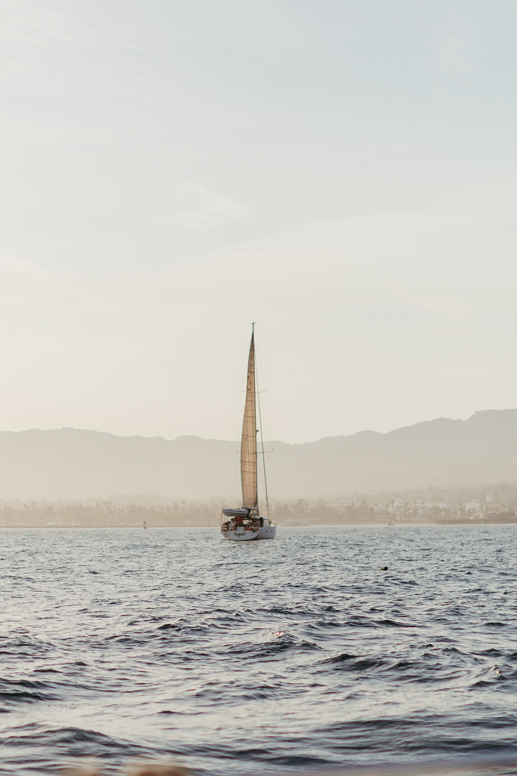 Sunset Sailing Engagement Session in Santa Barbara — Lauren Newman  Photography, image size:1067x1600