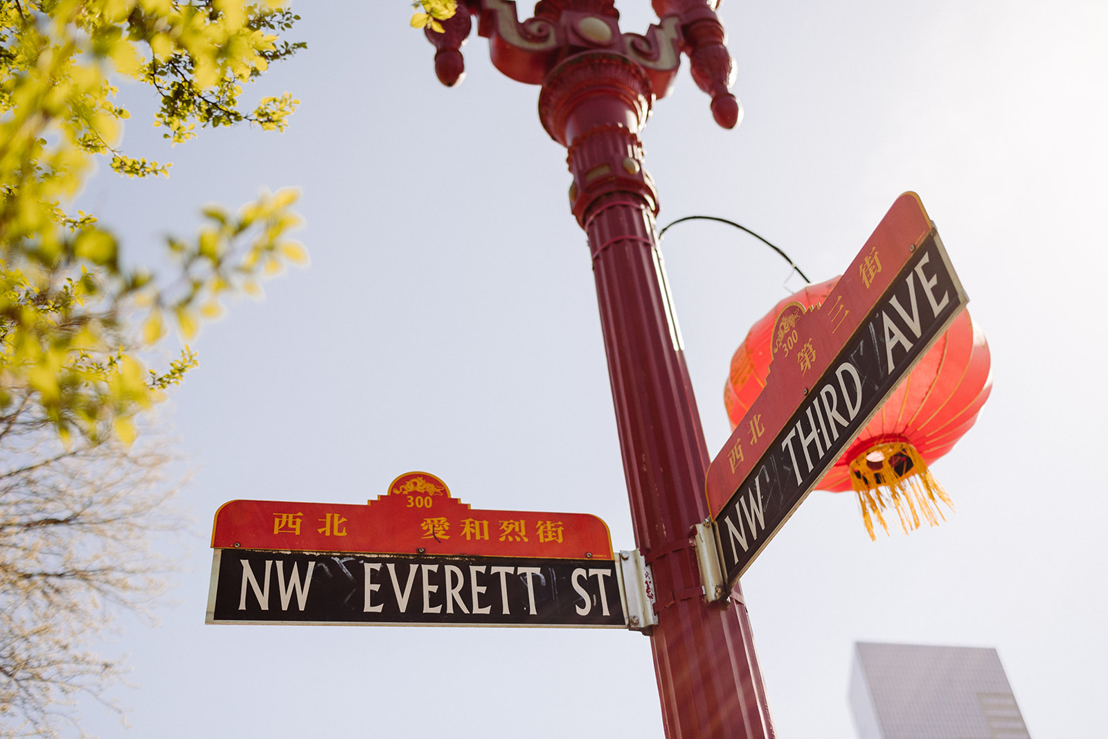 Lan Su Chinese Garden Wedding | Portland, Oregon - Dylan M Howell, image size:1600x1067
